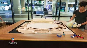 Check out this 30 second time-lapse video of the 3D Model of Adelaide Oval being built by The University of Adelaide students. READ MORE HERE http://bit.ly/1sVcxpX #AdelaideOval | Adelaide Oval