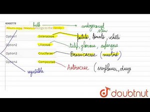 Allium cepa (onion) belongs to the family :-