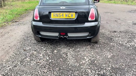 Weekend shenanigans #rev #mini #pop #💥