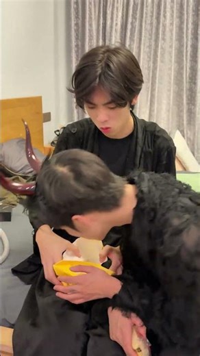 我看到了什么#Harley Quinn #joker