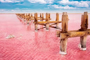 Flamingo Haven: How Lake Natron Became the World’s Largest Breeding Ground