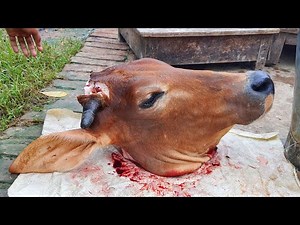 Full Cow Head Cutting Processing Amazing Cow Head Cutting Skills