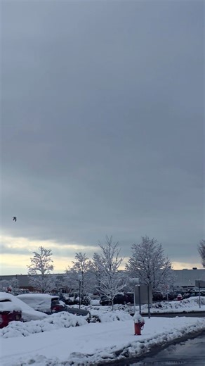 First Snow of the Season ❄️✨ | Winter Is Finally Here! #FirstSnow #WinterIsHere #Snowfall