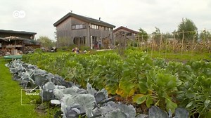 Almeere Oosterwold: Bebas Membangun asal Ramah Lingkungan