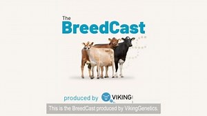 244 reactions · 6 comments | NEW EPISODE is out now ️ How to breed...