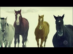 Fim dos tempos: teólogo explica alguns símbolos do Apocalipse