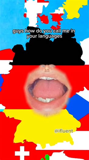 Ifluent on Instagram: "Everybody messing up Germany's video 💀💀💀"