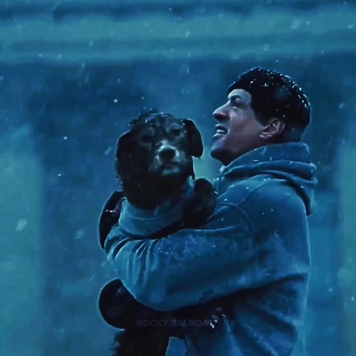 Sylvester Stallone: The Legacy of Rocky Balboa