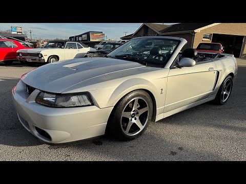 Test Drive 2004 Ford Mustang Cobra Convertible "Terminator" 6 Speed SOLD $25,900 Maple Motors #2917