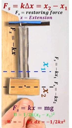 The Physics of Springs, Visualized LIVE — Hooke's Law
