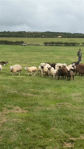 4.7K views · 32 reactions | Let's have a look at what we got up to on...