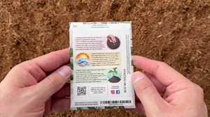 Seed Needs, Blue Passion Flower Seeds - 100 Heirloom Seeds for Planting Passiflora caerulea - Open Pollinated, Tropical Vine (1 Pack)