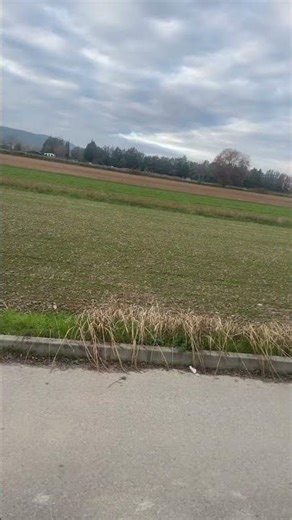 POV: tu a fini les cours à 14h40 #edit #j’ai le meilleur emploi du temps