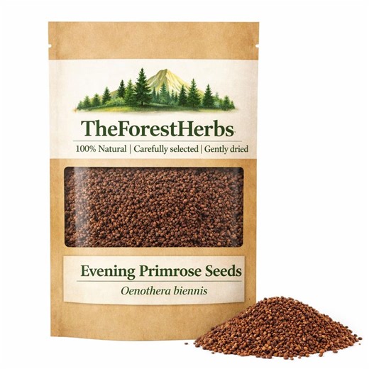 Evening Primrose Seeds - Oenothera Biennis/ Herbal Tea & Culinary Use - Etsy