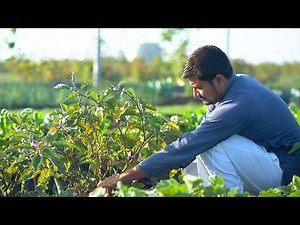 2024 Best Indian Village Cooking in 4K | Cooking for Mummy & Daddy.