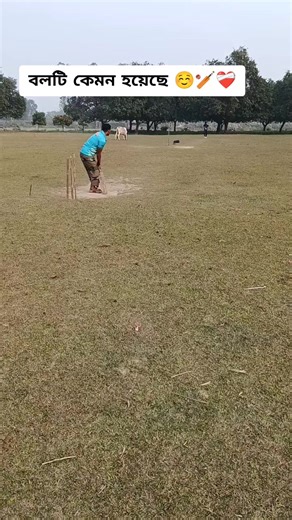 Cricket Passion: Join Me as a Cricket Lover!