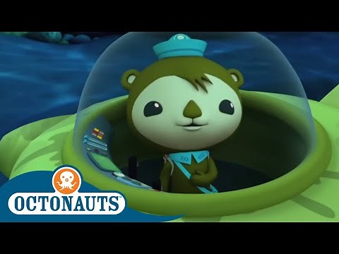 Octonauts - Playful Hammerhead Sharks | Cartoons for Kids | Underwater Sea Education
