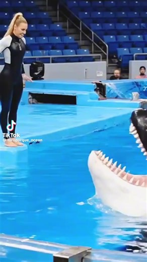 soib (@soib8836)’s videos with original sound - soib