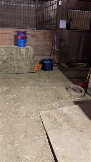 In the morning we’ll start using the heater and begin turnout rotations. Yes the heater still has to be positioned correctly. #winterstorm2026 #icestorm2026