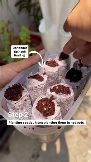 🚀 From Setup to Harvest – Aeroponics Made Easy in 3 Simple Steps!#greenwarrior #easygrow