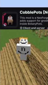 CUAL ES EL PEOR RESOURCE PACK DE MINECRAFT🤔?