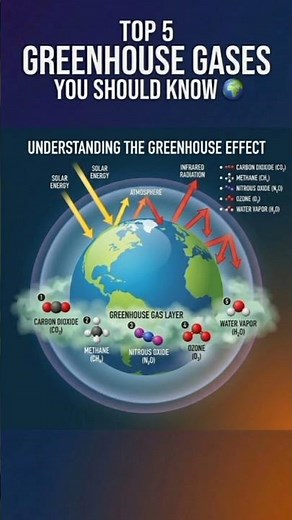 Understanding the green house effect and major green house gases