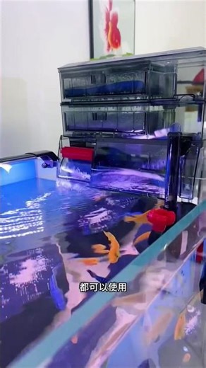 This Hang-On Filter with Wet & Dry Separation Is a Game Changer for Small Aquariums! 💧🐟