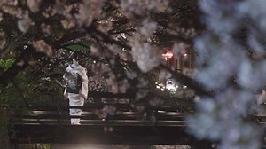 NHK Documentary 〜 A Tale of Love and Honor: Life in Gion 〜 Sept. 24, Sun. 0:10 / 6:10 / 12:10 / 18:10 (JST) https://www.nhk.or.jp/nhkworld/en/tv/documentary/201709150600/ When evening falls, traditional entertainers, or geiko, make their way to teahouses in Gion, Kyoto, to perform classical dance and music for select guests. Peer into their unique and alluring world. | NHK WORLD-JAPAN