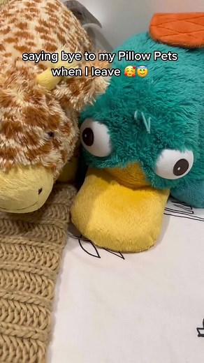 Pillow Pets on TikTok