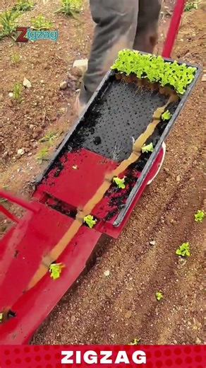 Simple & Precise Seedling Transplanter for Planting and Spacing in Vegetable Farm Rows