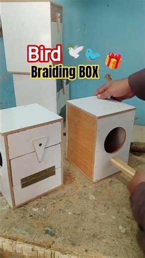 DIY Braided Wood Bird Box 2025 Editions 🕊️ 🐦🎁 || New 2025 Braided Wood Bird Box DIY @zaibfurniture