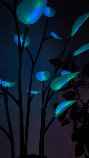 The most dynamic smart light in the world✨ 🧘 Soothing light to help you relax 🎵 Next generation interactivity to bring your music to life 🎨 Countless animations and colors to enhance your vibe Get yours while supplies last🔥 | Fluora