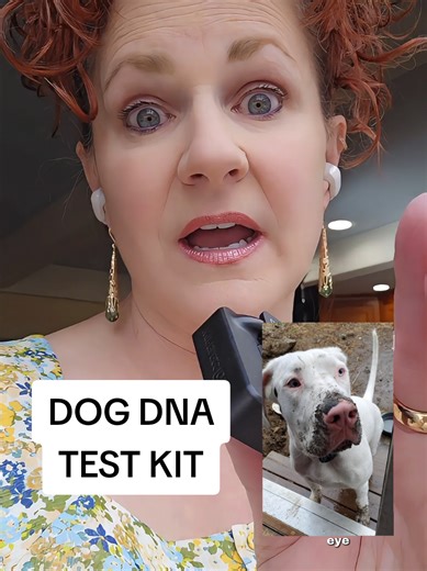 Understanding Dog DNA Testing for Pet Care