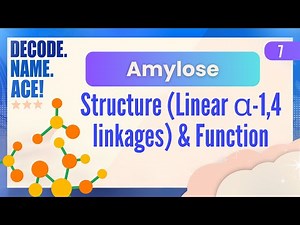 Get Twisted with Amylose!