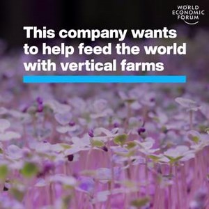 5.3K views · 203 reactions | These farms use 95% less water than traditional methods. Learn more about vertical farming around the world: https://ow.ly/2omE50Qf9xR #COP28 Vertical Future | World Economic Forum | Facebook