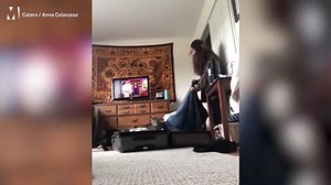 Video: Cat attacks owner after she hid in suitcase