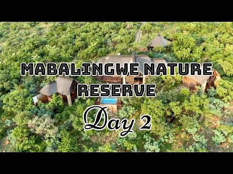 Mabalingwe Nature Reserve | Day 2 | Bela Bela | May 2022