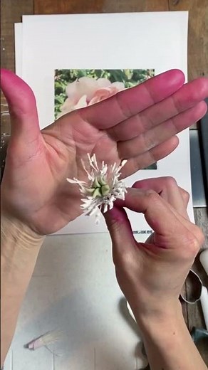 Gum paste Flower Tutorial