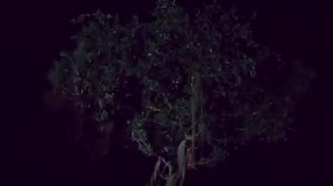 Watch this thrilling episode of #CrimePatrol tonight! | Sony Entertainment Television