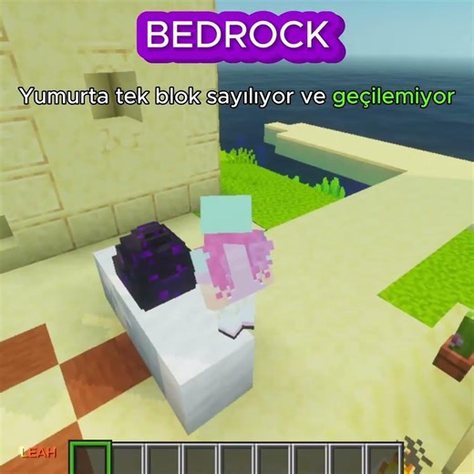 1 Dakikada Java Ve Bedrock Sürümü Farkları #1 | #minecraft #minecraftpe #minecraftshorts #game