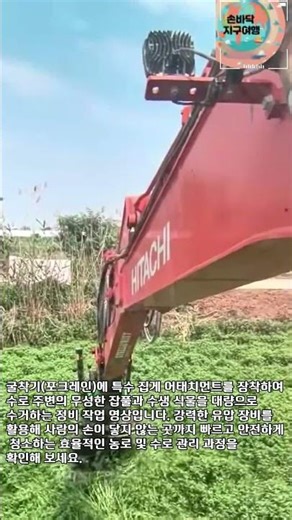 굴착기 집게로 수로 잡풀 제거하기 #worker #process #excavator #clearing #farm