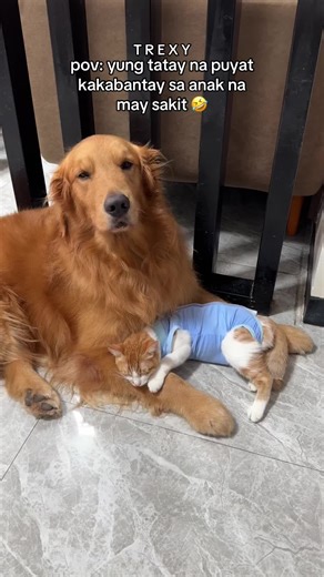 Tatay na Puyat: Pagsubok ng Magulang sa Pag-aalaga