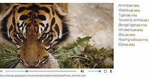 Google makes objects in videos searchable