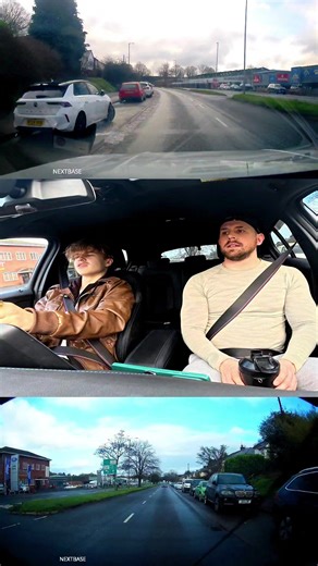 Driving Lesson Distractions with Dogs