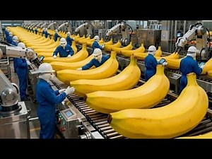 Inside the Banana Drying Factory Run by Cats 🐱 From Farm to Crunchy Snacks