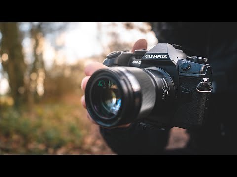 The BEST Macro lens for Micro Four Thirds: Olympus 60mm 2.8