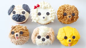 Dog Cupcakes