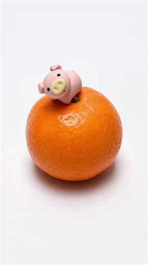 Greedy Pig Enjoying Mango