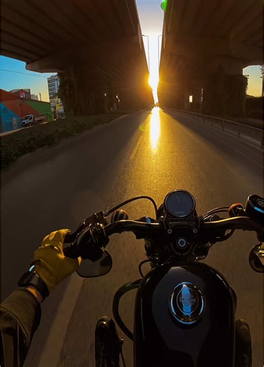 Harley Davidson Sportster 48: A Sunset Ride Adventure