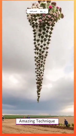 Amazing Technique #farming #usafarming